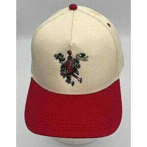Pirate Worldwide By Any Means Baseball Cap Hat His Airness Snapback Basketball
